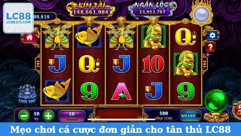 Mẹo chơi cá cược đơn giản cho tân thủ LC88